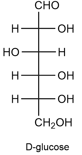 Fischer projection of D-glucose showing its structure.