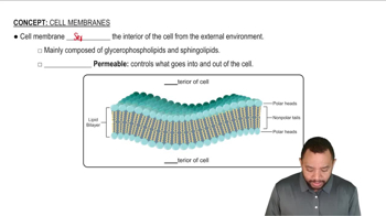 Cell Membranes Concept 1