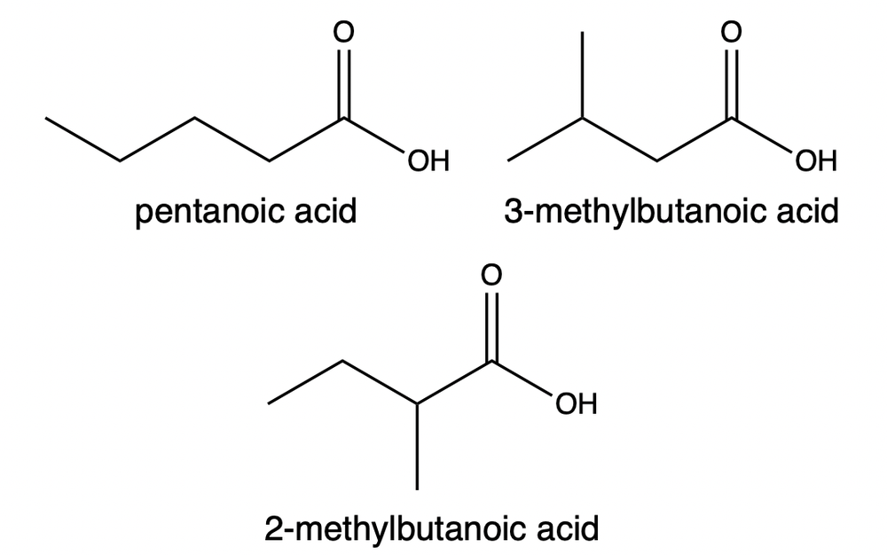 Structures of pentanoic acid, 3-methylbutanoic acid, and 2-methylbutanoic acid with names labeled.