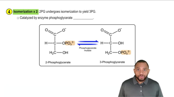 Gluconeogenesis Concept 5