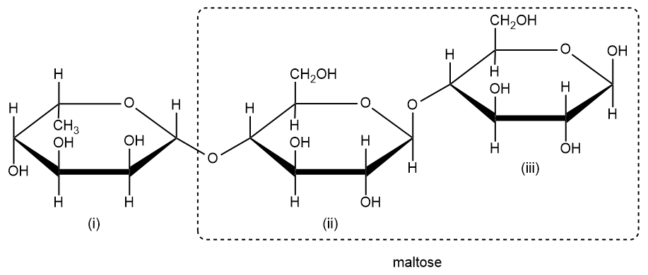 Trisaccharide diagram highlighting maltose within the structure.