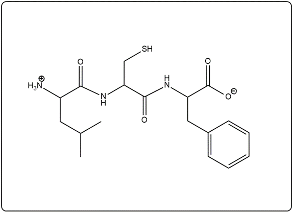 Skeletal structure of the peptide Lys-Met-Phe, showing amino acid connections.