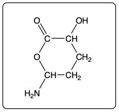 Lactone structure with hydroxyl and amine groups in a cyclic arrangement.