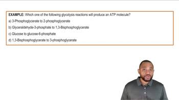 Glycolysis Example 3