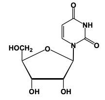 nucleoside