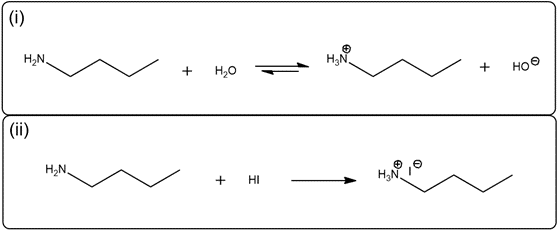 Balanced equations for 1-butanamine reacting with water and HI, showing charged species.