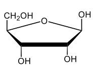 cyclic hemiacetal