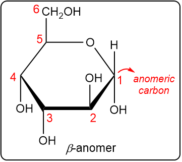 Cyclic structure showing carbon numbering and anomeric carbon for beta anomer.