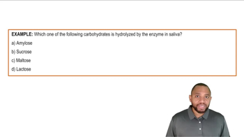 Intro To Carbohydrate Metabolism Example 1