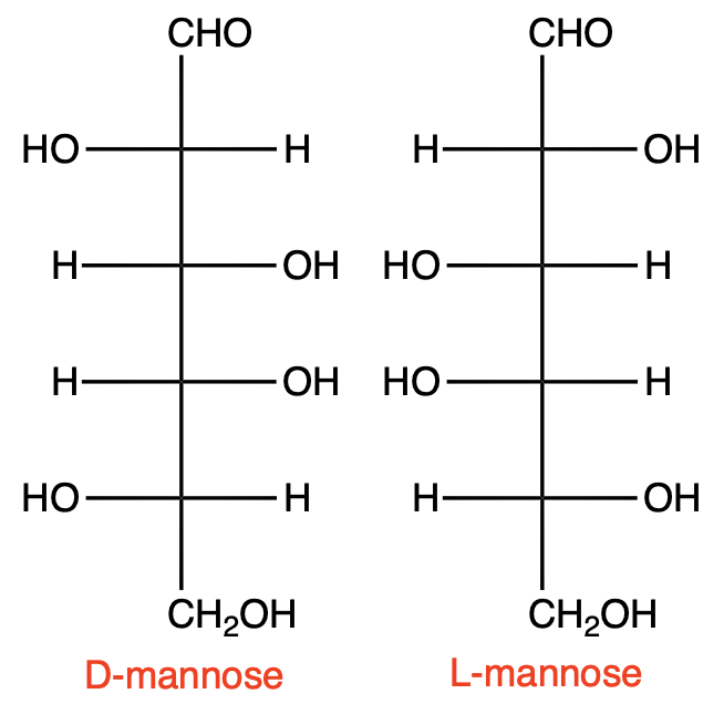 Fischer projections of D-mannose and L-mannose for carbohydrates chapter.