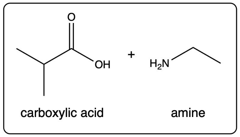 Another representation of carboxylic acid and amine from amide hydrolysis.