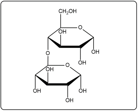 Haworth structure of isomaltose, illustrating two α-D-glucose units joined by an α(1→6) glycosidic bond.