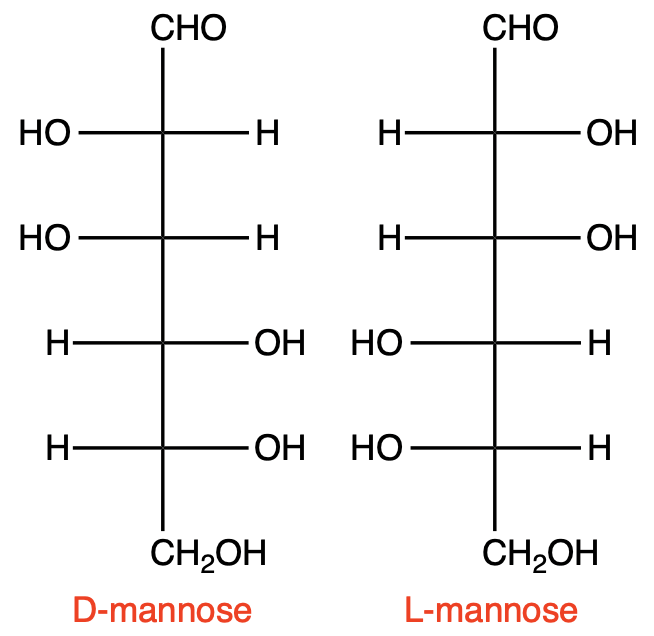 Fischer projections of D-mannose and L-mannose for carbohydrates chapter.