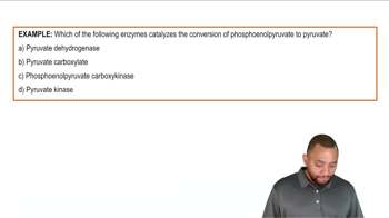 Glycolysis Example 4