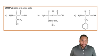 Intro to Amino Acids Example 1