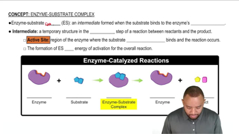 Enzyme-Substrate Complex Concept 1