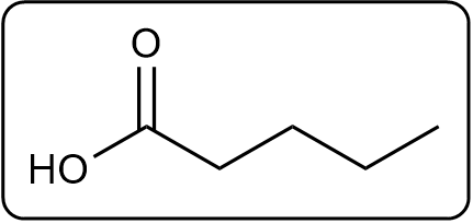 Intermediate structure with carbon chain and hydroxyl group before hydrogenation.