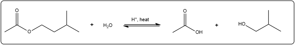 Balanced equation for acid-catalyzed hydrolysis of 3-methylbutyl ethanoate.