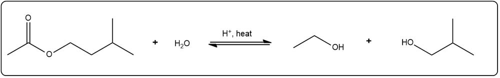 Balanced equation for acid-catalyzed hydrolysis of 3-methylbutyl ethanoate.