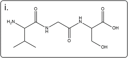 Line-angle structure of valylglycylserine for educational purposes.