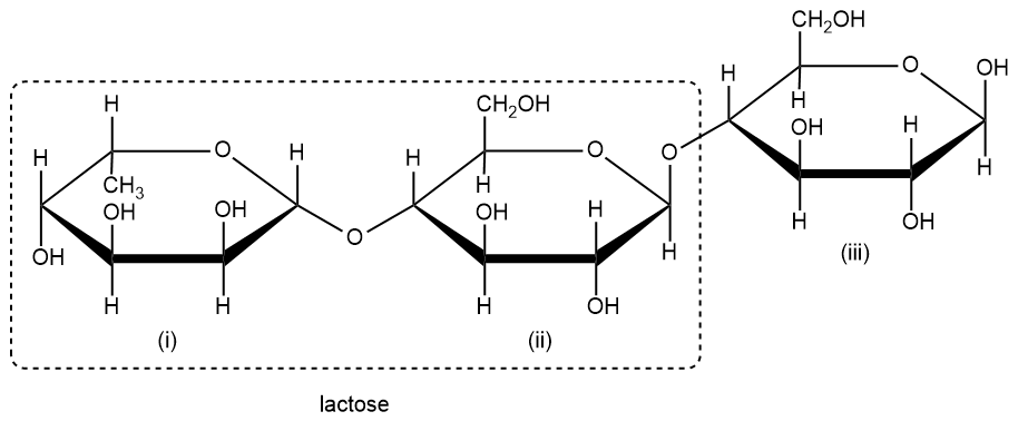 Trisaccharide diagram highlighting lactose within the structure.