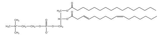 lecithin