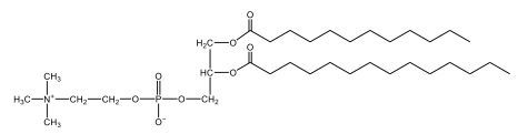 glycerophospholipid