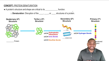 Protein Denaturation Concept 1