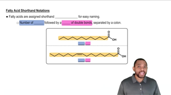 Fatty Acids Concept 4