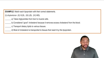 Lipoproteins for Transport Example 1