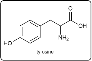 Chemical structure of tyrosine, an amino acid.