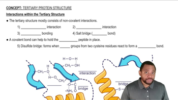 Interactions within the Tertiary Structure Concept 2