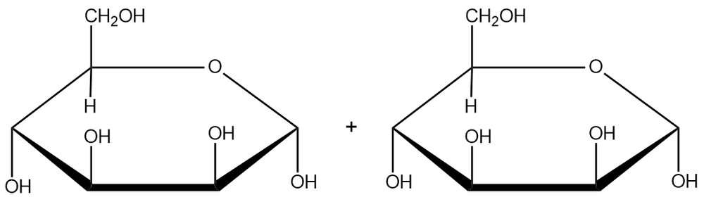 Disaccharide structure with β(1→4) glycosidic bond and monosaccharides.