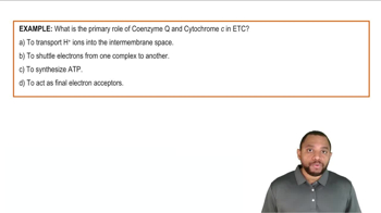 Electron Transport Chain Process Example 2