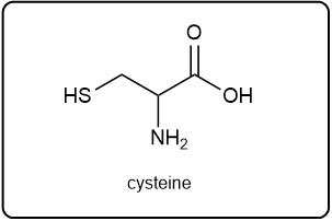 Chemical structure of cysteine, an amino acid.