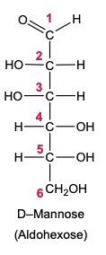 sugar alcohol Fischer projection