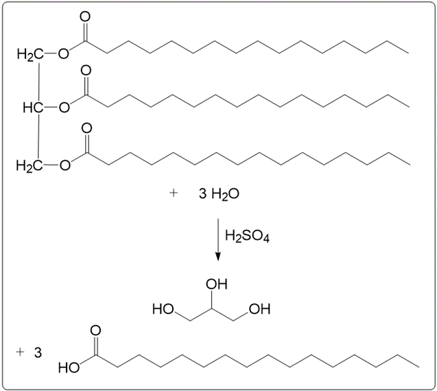 Chemical reaction for acid hydrolysis of glyceryl tripalmitate with water and sulfuric acid.