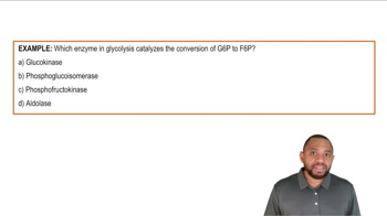 Glycolysis Summary Example 2