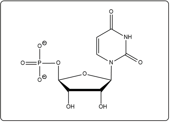 Chemical structure of a nucleoside and nucleotide in a reaction diagram.