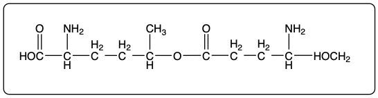 Ester structure showing the reaction of two unnatural amino acids.