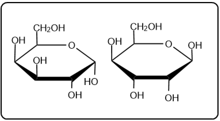 Two disaccharide structures displayed side by side for comparison in carbohydrate education.