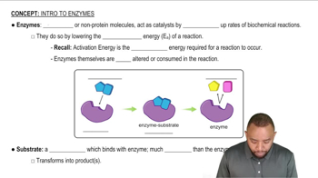 Intro to Enzymes Concept 1