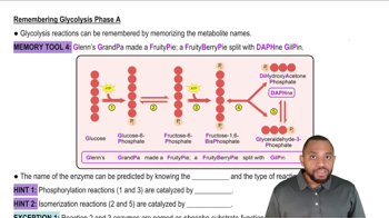 Glycolysis Summary Concept 2