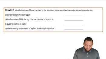 Intermolecular Forces (Simplified) Example 1