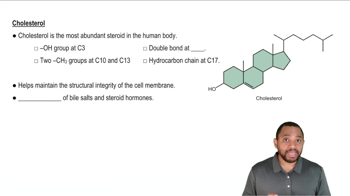 Steroids Concept 2