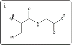 Line-angle structure of glycylserine with a different thiol group.