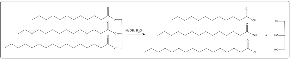 Base-catalyzed hydrolysis of triacylglycerol producing palmitic, lauric, and myristic acid derivatives.