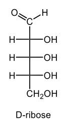 D-ribose