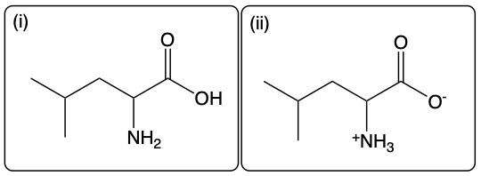 Amino acid Leu structure at high pH with NH2 and OH groups; low pH with +NH3 and O-.