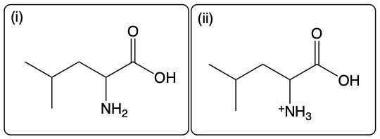Amino acid Leu structure at high pH with NH2 and OH groups; low pH with +NH3 and OH.
